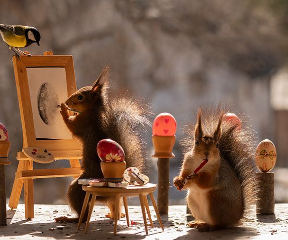 Squirrel the artists