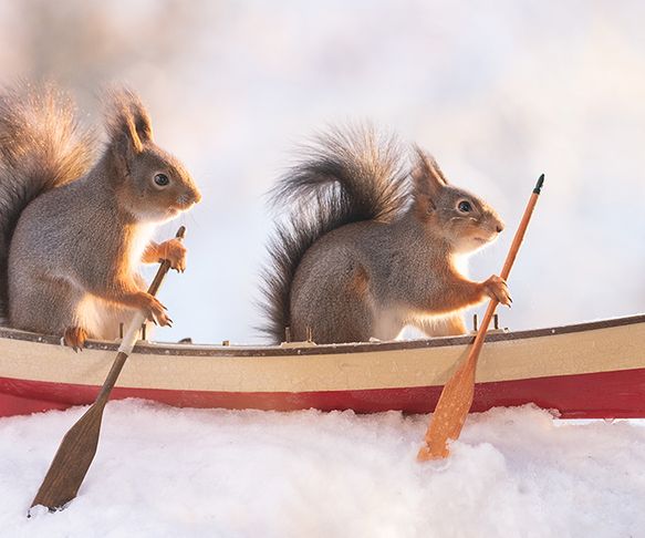 Squirrel the boatman